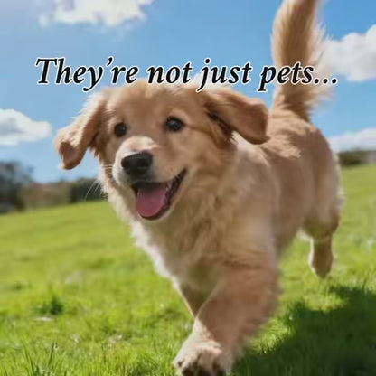 Personalized Memorial Resin Bead Phone Strap DIY Kit - Encapsulate Pet Hair, Loved One's Hair, Baby Hair or Ashes in Resin Bead